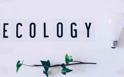 Zbiorniki Noel dla branży HoReCa