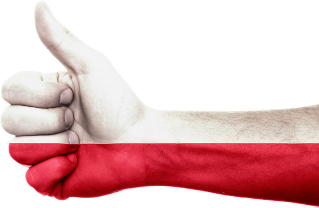 NOEL – polska firma z historią